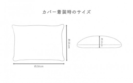 ※受付終了※FH001VC01　はぎもの舎　丸ごと洗える！ 枕としてもクッションとしても使える、ふわもちピロー【Lサイズ】【カラー：1 デニム・ブルー】