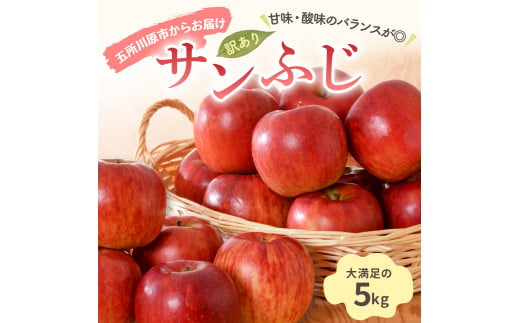 【2025年1月中旬発送】【訳あり】りんご 青森産 約5kg サンふじ