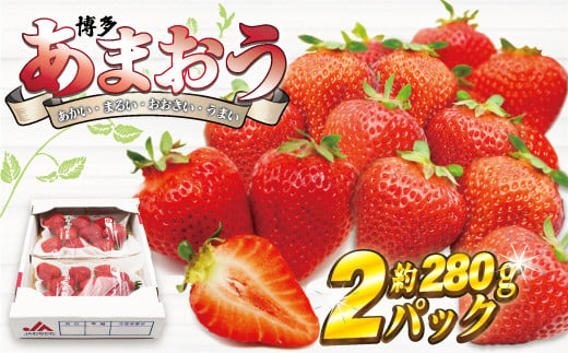 博多あまおう2パック【2025年3月下旬より順次発送】約560g[F2211]