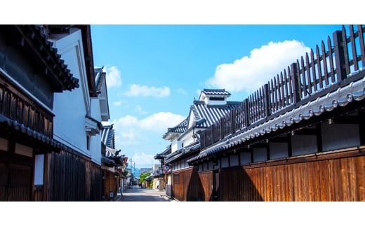 せんべいと和菓子の詰合せ  煎餅 こごせの里 群鴉 河内路 手土産に喜ばれるお菓子です。【1270066】