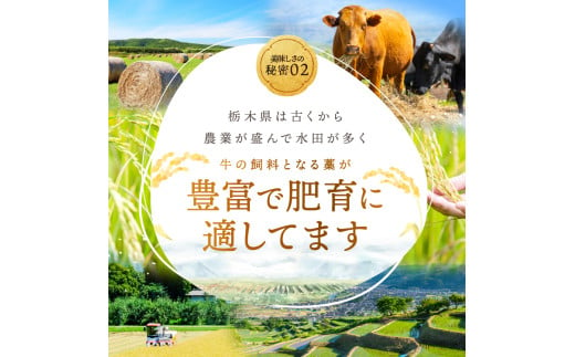 最高位賞を受賞！【定期便6回】最高級ブランドの柔らかく風味豊かな 栃の木黒牛・ローススライス 500g  | 霜降り 和牛 切り落とし とろける 品質 柔らかく 銘柄牛 安心 安全 美味しい すき焼き おいしい 芸術品 特産品 ふるさと 納税 栃木県 那珂川町 送料無料