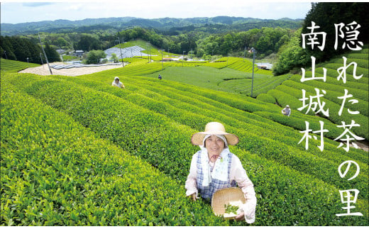 抹茶塩 (50g×2袋) 抹茶 塩 食塩 小袋 個包装 ソルト 調味料 料理 シーズニング スパイス ブランド 抹茶 和食 洋食 南山城村 京都府