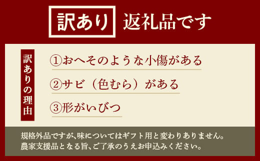 FYN9-597 【農業者支援】《先行予約》ご家庭用 2024年 山形県産西洋梨 ラ･フランス3kg 2024年11月上旬から順次発送 洋梨 洋なし ラフランス 秋果実 果物 くだもの フルーツ 訳あり ご自宅用 産地直送 山形県 西川町 月山