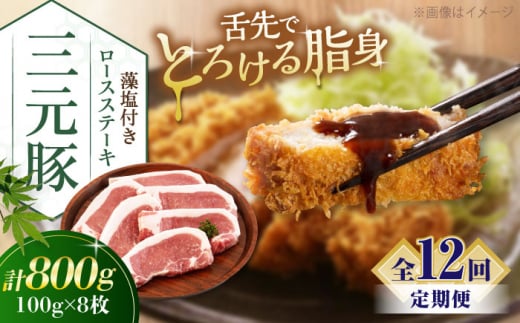 肉 豚肉 ロース ステーキ ステーキ用 とんかつ トンテキ 生姜焼き 