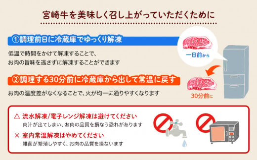 宮崎牛 A4 赤身 焼肉 セット 500g ステーキソース付き ギフト箱入り [南海グリル 宮崎県 美郷町 31bg0011] ブランド牛 冷凍 送料無料 国産 牛 肉 南海グリル 贈り物 プレゼント ギフト 父の日 母の日 お歳暮 特製ソース ３D急速高湿冷凍 旨味 モモ BBQ バーベキュー キャンプ