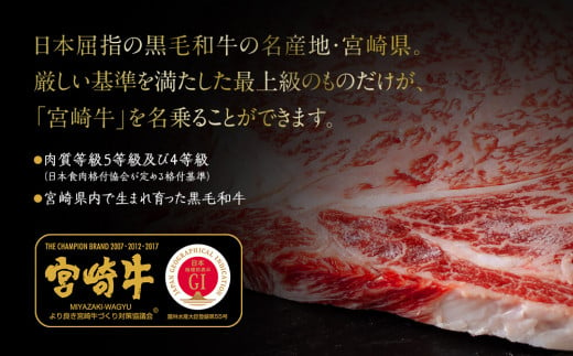 宮崎牛 A4 赤身 焼肉 セット 500g ステーキソース付き ギフト箱入り [南海グリル 宮崎県 美郷町 31bg0011] ブランド牛 冷凍 送料無料 国産 牛 肉 南海グリル 贈り物 プレゼント ギフト 父の日 母の日 お歳暮 特製ソース ３D急速高湿冷凍 旨味 モモ BBQ バーベキュー キャンプ