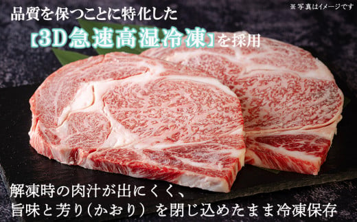 宮崎牛 A4 赤身 焼肉 セット 500g ステーキソース付き ギフト箱入り [南海グリル 宮崎県 美郷町 31bg0011] ブランド牛 冷凍 送料無料 国産 牛 肉 南海グリル 贈り物 プレゼント ギフト 父の日 母の日 お歳暮 特製ソース ３D急速高湿冷凍 旨味 モモ BBQ バーベキュー キャンプ