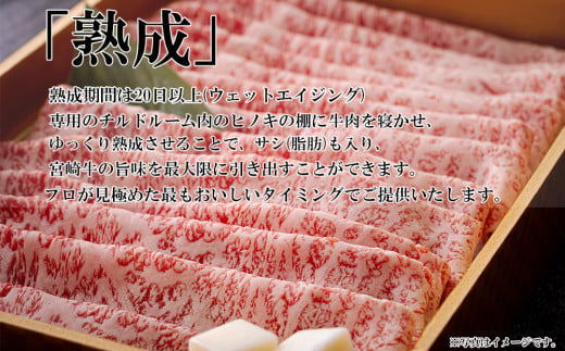 宮崎牛 A4 赤身 焼肉 セット 500g ステーキソース付き ギフト箱入り [南海グリル 宮崎県 美郷町 31bg0011] ブランド牛 冷凍 送料無料 国産 牛 肉 南海グリル 贈り物 プレゼント ギフト 父の日 母の日 お歳暮 特製ソース ３D急速高湿冷凍 旨味 モモ BBQ バーベキュー キャンプ