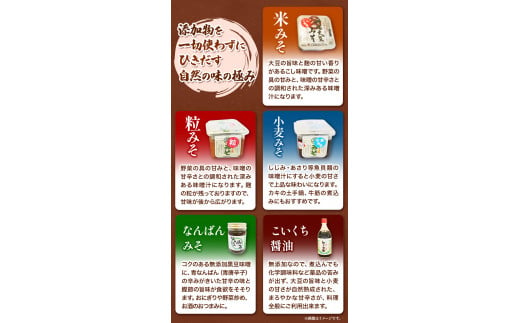 北海道十勝 醗酵食品「味噌三昧セットＡ」5品目お届け（味噌4種と醤油）《60日以内に出荷予定(土日祝除く)》渋谷醸造株式会社 送料無料 北海道 本別町 米みそ 米味噌 粒みそ 粒味噌 小麦みそ 小麦味噌 南蛮みそ 南蛮味噌 こいくち醤油 濃口醤油