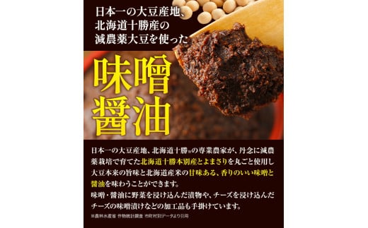 北海道十勝 醗酵食品「味噌三昧セットＡ」5品目お届け（味噌4種と醤油）《60日以内に出荷予定(土日祝除く)》渋谷醸造株式会社 送料無料 北海道 本別町 米みそ 米味噌 粒みそ 粒味噌 小麦みそ 小麦味噌 南蛮みそ 南蛮味噌 こいくち醤油 濃口醤油