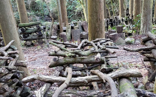 森の養分だけで育った津和野町産・原木干ししいたけ＜100g×2パック＞【1265573】