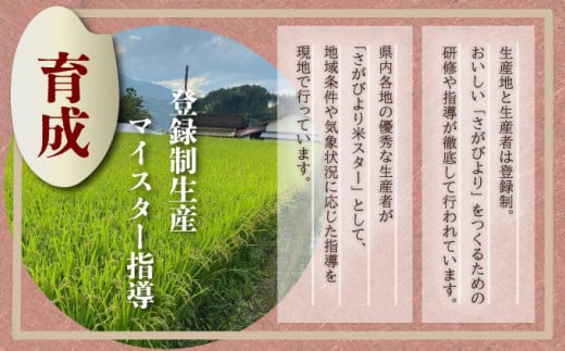 《2025年1月配送》特選米100%!令和6年産さがびより(精白米)10kg