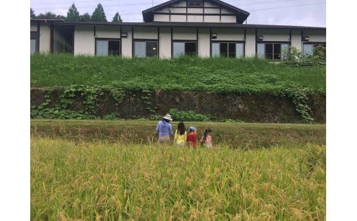 森の美しさを守る 天橋立阿蘇海にそそぐ水を辿る与謝野森ツアー森の恵みジビエランチ付き！