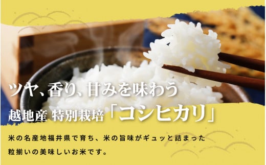 米 越地（こいち）産 特別栽培米 コシヒカリ 令和6年産 真空包装 2合 × 3個【キャンプ 保存 備蓄 防災 バーベキュー BBQ 持ち運び簡単】[m24-a003]