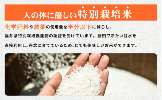 米 越地（こいち）産 特別栽培米 コシヒカリ 令和6年産 真空包装 2合 × 3個【キャンプ 保存 備蓄 防災 バーベキュー BBQ 持ち運び簡単】[m24-a003]