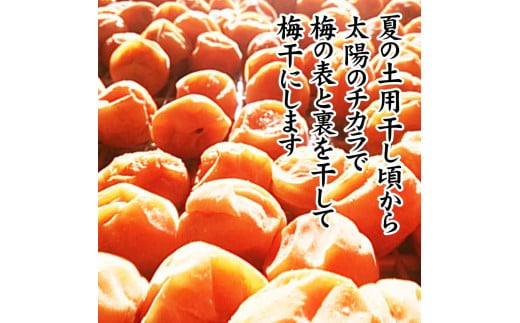 紀州産南高梅 みつふる12粒入り 減塩1.5% A-076a