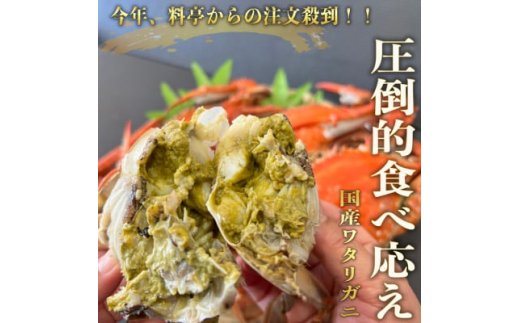 ＜大好評＞天然 ボイル ワタリガニ (オス・メス)1kg [3杯前後]