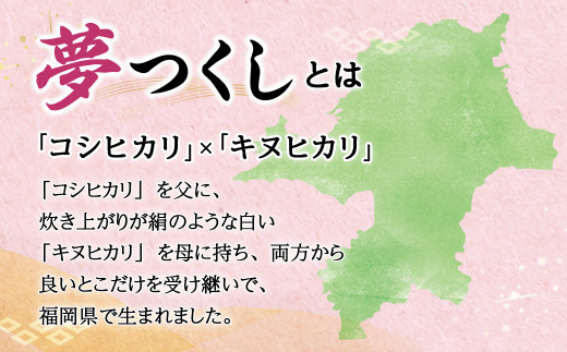 【6回定期便】普通精米 福岡県産 ｢夢つくし｣ 10kg(5kg×2袋)×6回 合計60kg