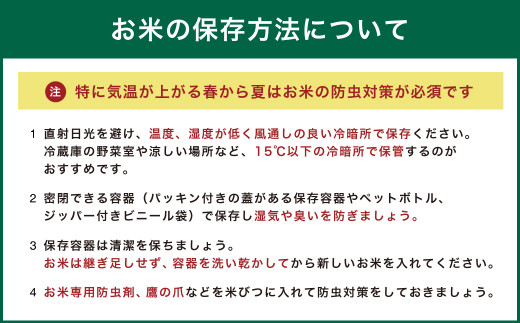 【6回定期便】普通精米 福岡県産 ｢夢つくし｣ 10kg(5kg×2袋)×6回 合計60kg