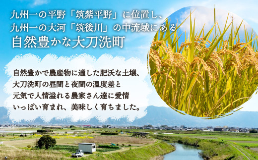 【6回定期便】普通精米 福岡県産 ｢夢つくし｣ 10kg(5kg×2袋)×6回 合計60kg