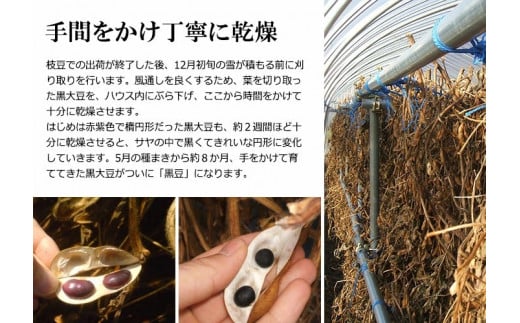 黒豆茶2袋セット（合計５g×60包）