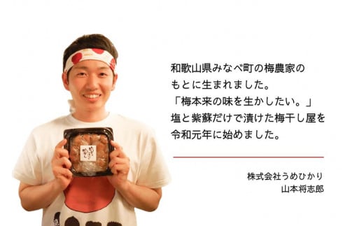 【無添加梅干し】塩と紫蘇だけで漬けた梅干し2パック、塩だけで漬けた梅干し1パック ／ 南高梅　A-406