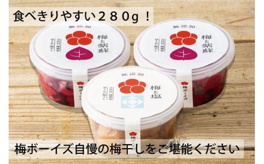 【無添加梅干し】塩と紫蘇だけで漬けた梅干し2パック、塩だけで漬けた梅干し1パック ／ 南高梅　A-406