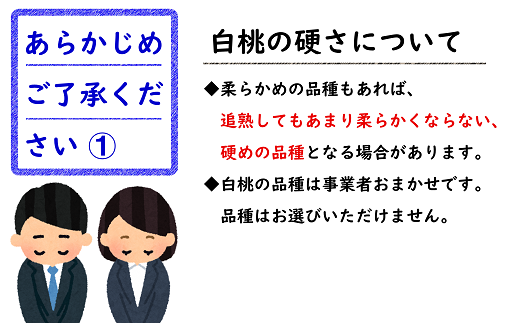 【令和7年産先行予約】 《定期便4回》 フルーツ味わい定期便B 『フードシステムズ』 山形県 南陽市 [1141-R7]