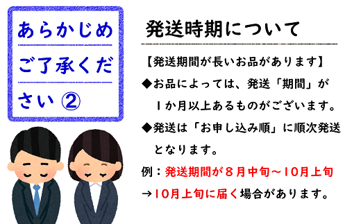 【令和7年産先行予約】 《定期便4回》 フルーツ味わい定期便B 『フードシステムズ』 山形県 南陽市 [1141-R7]