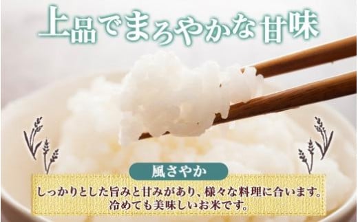 令和6年産 風さやか 白米 10kg×1袋 長野県産 米 精米 お米 ごはん ライス 甘み 農家直送 産直 信州 人気 ギフト お取り寄せ 平林農園 送料無料 長野県 大町市