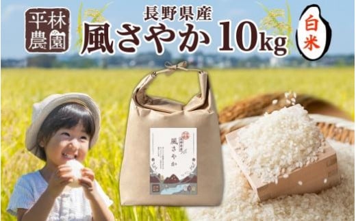 令和6年産 風さやか 白米 10kg×1袋 長野県産 米 精米 お米 ごはん ライス 甘み 農家直送 産直 信州 人気 ギフト お取り寄せ 平林農園 送料無料 長野県 大町市