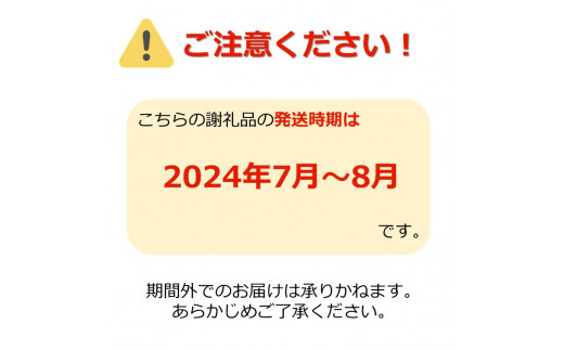 【2024年7月～8月発送】山形の小玉すいか「姫まくら」2玉(計約4.5kg)_H114(R6)