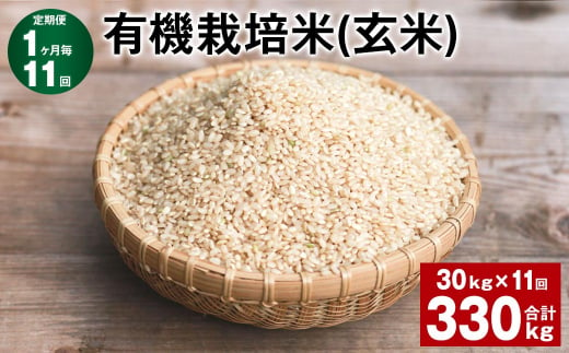 【1ヶ月毎11回定期便】 有機栽培米（玄米） 計330kg（30kg✕11回） 米 玄米 ミルキークイーン