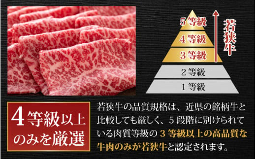 【肉の定期便×12回コース】肉好き大集合！若狭牛 食べ比べ 定期便！【福井のブランド牛肉】【4等級以上】| 焼き肉 すき焼き しゃぶしゃぶ ヒレステーキ もも ロース 国産 冷凍 お取り寄せ [O-058001]