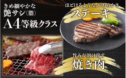 【肉の定期便×12回コース】肉好き大集合！若狭牛 食べ比べ 定期便！【福井のブランド牛肉】【4等級以上】| 焼き肉 すき焼き しゃぶしゃぶ ヒレステーキ もも ロース 国産 冷凍 お取り寄せ [O-058001]