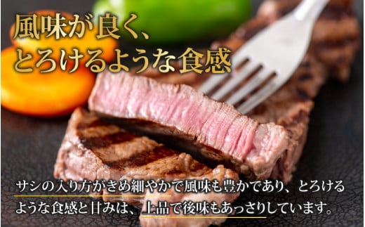 【肉の定期便×12回コース】肉好き大集合！若狭牛 食べ比べ 定期便！【福井のブランド牛肉】【4等級以上】| 焼き肉 すき焼き しゃぶしゃぶ ヒレステーキ もも ロース 国産 冷凍 お取り寄せ [O-058001]