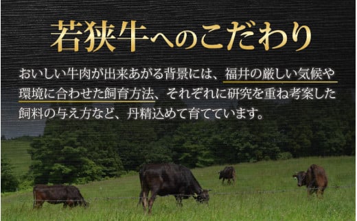 【肉の定期便×12回コース】肉好き大集合！若狭牛 食べ比べ 定期便！【福井のブランド牛肉】【4等級以上】| 焼き肉 すき焼き しゃぶしゃぶ ヒレステーキ もも ロース 国産 冷凍 お取り寄せ [O-058001]