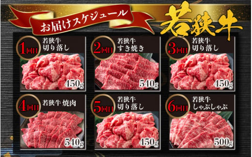 【肉の定期便×12回コース】肉好き大集合！若狭牛 食べ比べ 定期便！【福井のブランド牛肉】【4等級以上】| 焼き肉 すき焼き しゃぶしゃぶ ヒレステーキ もも ロース 国産 冷凍 お取り寄せ [O-058001]