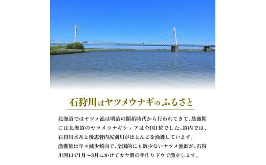 230005001 【予約受付中】2025年1月～発送 石狩産 活ヤツメウナギ【10本】｜北海道 石狩市 いしかり 活 活魚 やつめうなぎ 希少 珍しい レア 名産 特産 北海道産 石狩川河口