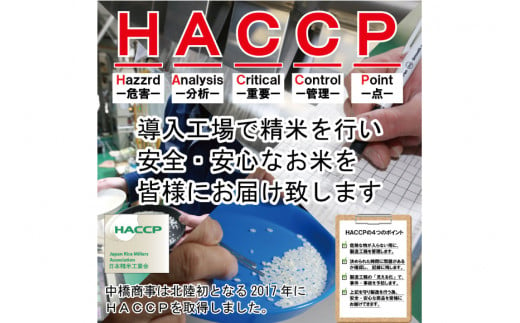 【期間限定発送】 米 令和6年 石川県産 石川米こしひかり【穂立】10kg [中橋商事 饗のこめ (あえのこめ) 石川県 宝達志水町 38600955] コシヒカリ お米 コメ 白米 精米 おこめ こめ 10キロ ごはん ご飯 国産