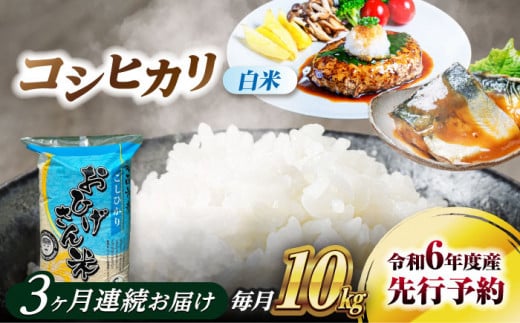 コシヒカリ 白米 10kg×3回 定期便 新米 令和6年度産