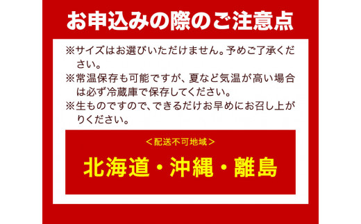  和歌山産 ミニトマト アイコトマト 約2kg SまたはMサイズ サイズおまかせ 厳選館 【配送不可地域あり】 《2025年4月上旬-5月中旬頃出荷》 和歌山県 日高川町 トマト とまと アイコトマト 送料無料