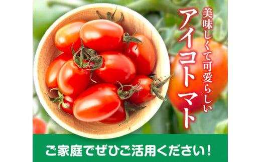  和歌山産 ミニトマト アイコトマト 約2kg SまたはMサイズ サイズおまかせ 厳選館 【配送不可地域あり】 《2025年4月上旬-5月中旬頃出荷》 和歌山県 日高川町 トマト とまと アイコトマト 送料無料