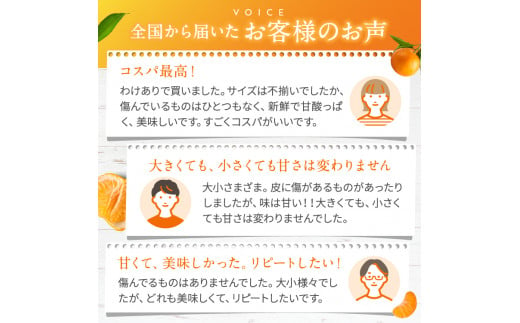 旬のもぎたてみかん 約 5kg 大小混合 訳あり 果物 熊本県なごみ町産  | 熊本県 熊本 くまもと 和水町 なごみまち なごみ みかん ミカン 蜜柑 柑橘 柑橘類 温州 果物 フルーツ 不揃い キズ スレ