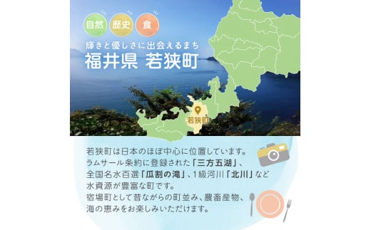 【祝北陸新幹線延伸】旅行 若狭町 プレミアム宿泊利用券 15000円分 1枚 宿泊補助券 福井県 福井 チケット 宿泊券 旅行券 宿泊 旅館 ホテル 1万5千円[№5580-0234]