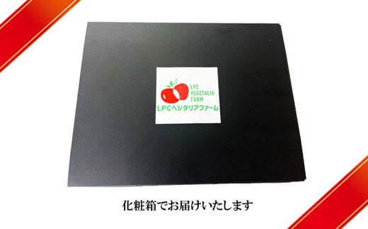 【早期予約】 農場長厳選の美味しいいちご 800g【200g×4パック 苺 詰め合わせ 島根県 安来市産】