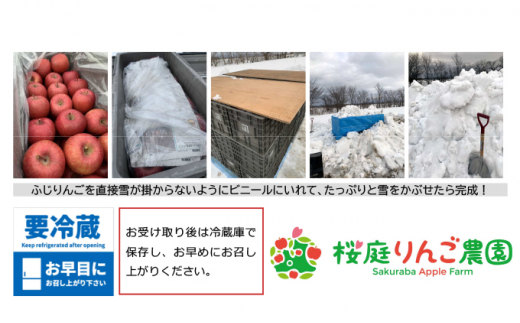 【3～4月発送】雪室りんご サンふじ 小玉訳アリ 約5kg 食べきりサイズ