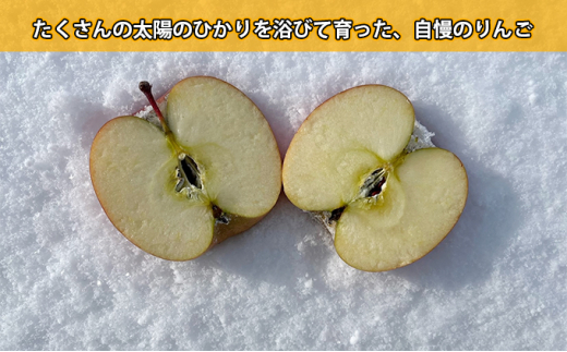 【3～4月発送】雪室りんご サンふじ 小玉訳アリ 約5kg 食べきりサイズ