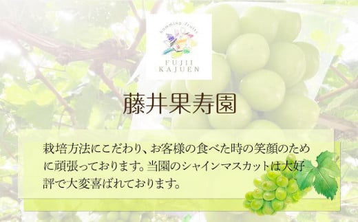 ぶどう 2025年 先行予約 岡山県産 高級 シャインマスカット 1.4kg以上 2房 贈答用＜9月以降発送＞