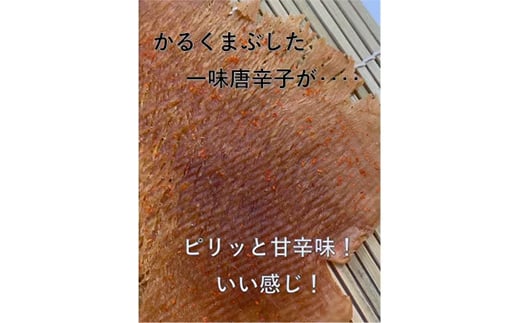 昭和のなつかしい味!やわらか　のしいか(甘辛味)3パック【1410008】